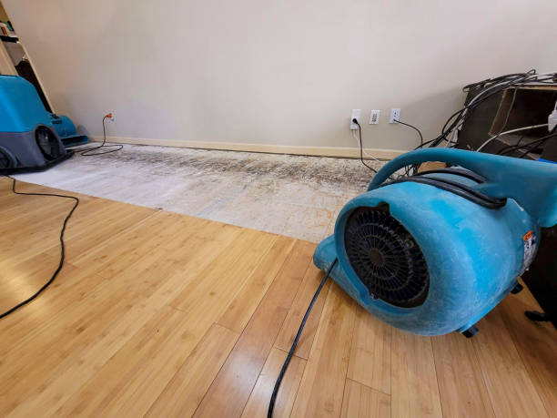 Professional Water Damage Repair technician working in Geneva, IL